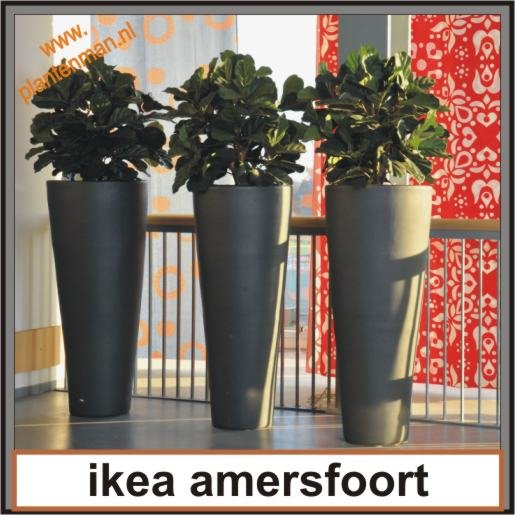 web entree ikea afoort